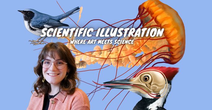 Scientific Illustration: Where Art Meets Science | Small Online Class ...